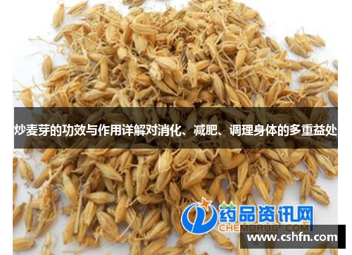 炒麦芽的功效与作用详解对消化、减肥、调理身体的多重益处 炒麦芽的功效与作用详解对消化、减肥、调理身体的多重益处